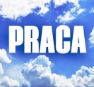 Praca -od zaraz